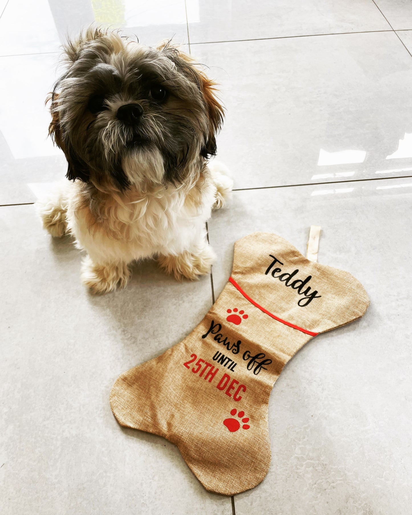 Dog stocking.